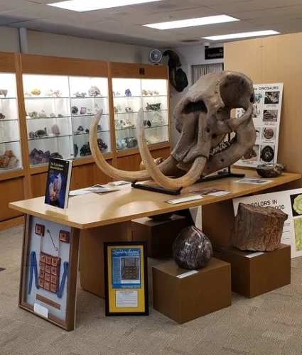 Fallbrook Gem & Mineral Society