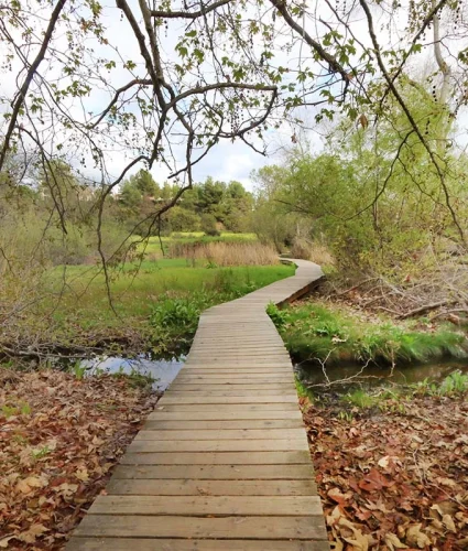 Los-Jilgueros-Preserve