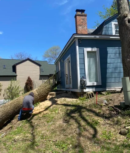 Ramirez Landscape and Tree Service Ramirez Landscape and Tree Service